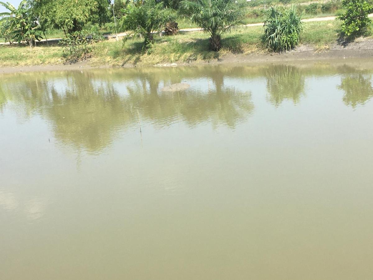 Saeng Tai Amphawa Daire Samut Songkhram Dış mekan fotoğraf